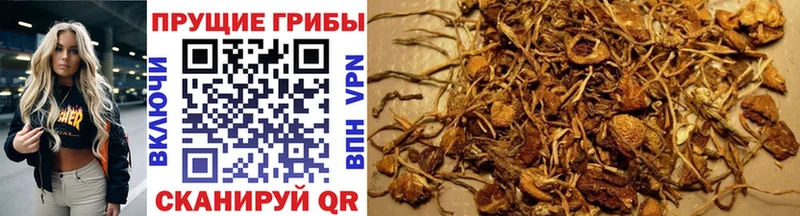 Псилоцибиновые грибы GOLDEN TEACHER  Юрьевец 