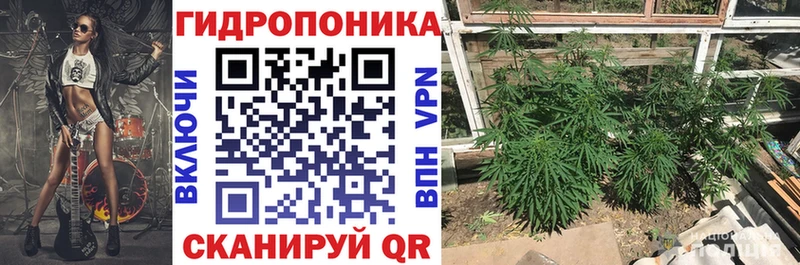 МАРИХУАНА Amnesia mega ссылка Юрьевец